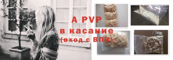 ешки Бородино