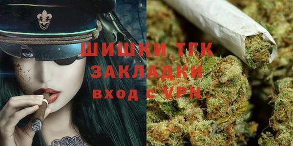 шишки Верхний Тагил