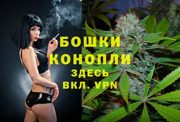 спиды Бронницы