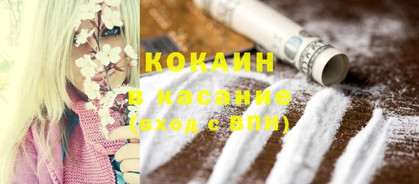 шишки Верхний Тагил