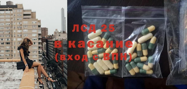 ешки Бородино