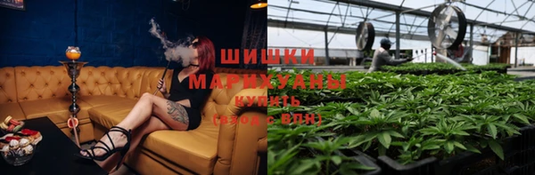 ешки Бородино