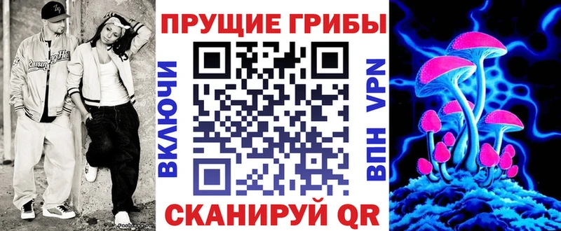 Псилоцибиновые грибы Cubensis  blacksprut как зайти  Трубчевск  где купить наркоту 